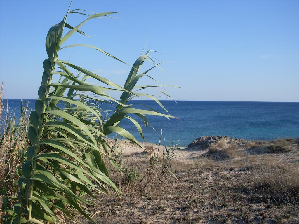 Villa Boschetto B&B - Apartments Maruggio Kültér fotó